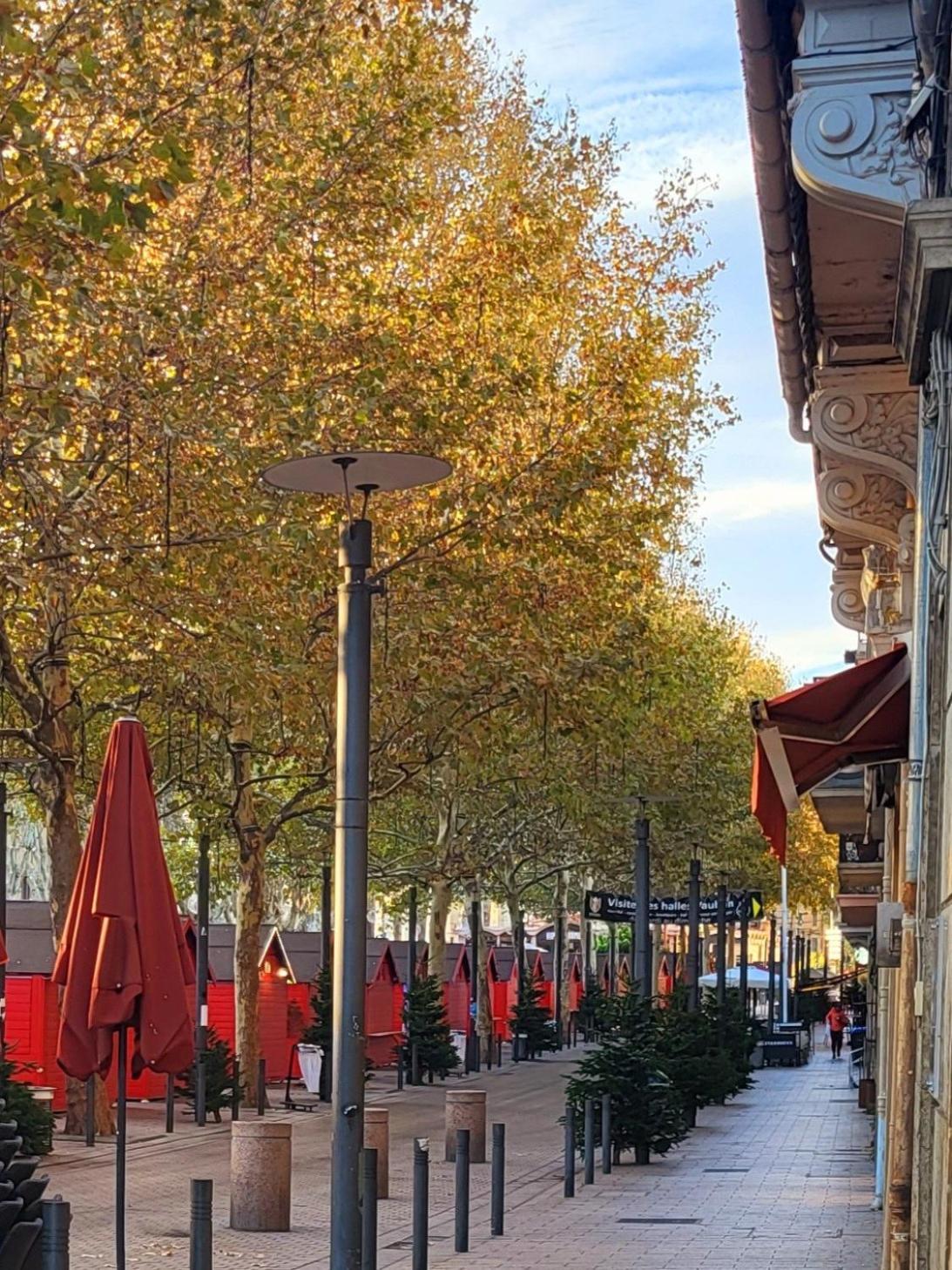 Superbe bâtisse de caractère, coeur de ville Perpignan Extérieur photo